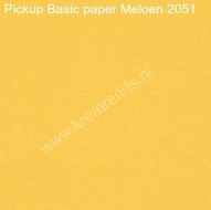 PI2051 Pickup Basic Paper Meloen.jpg